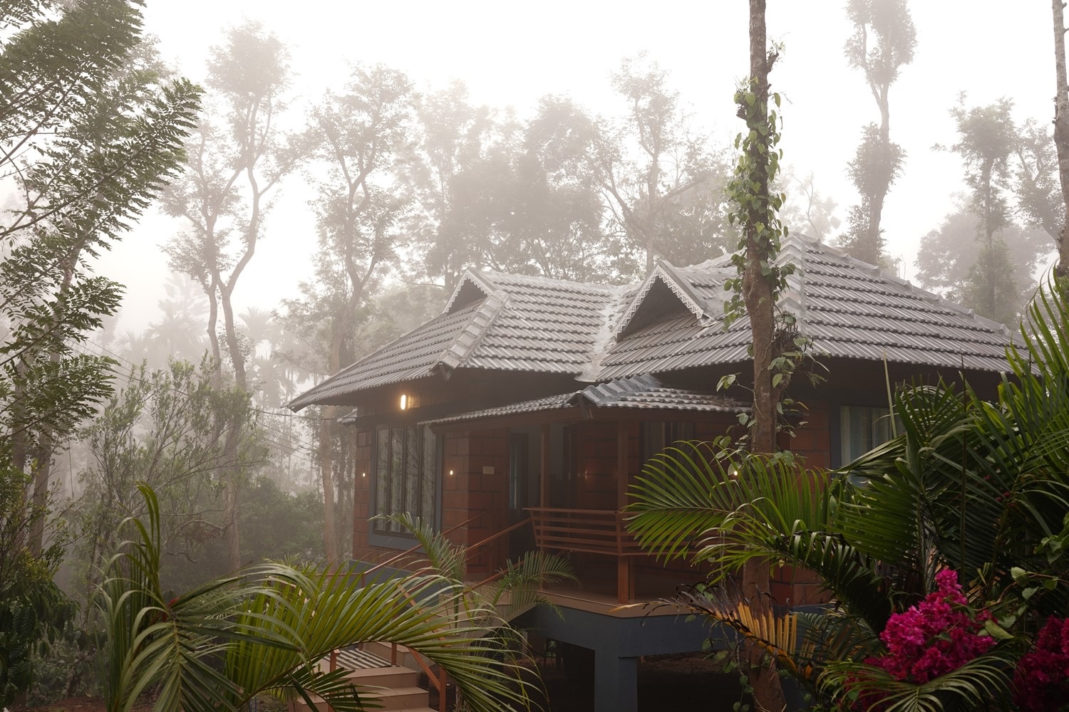 A Coffeepolo villa among palms on a misty morning